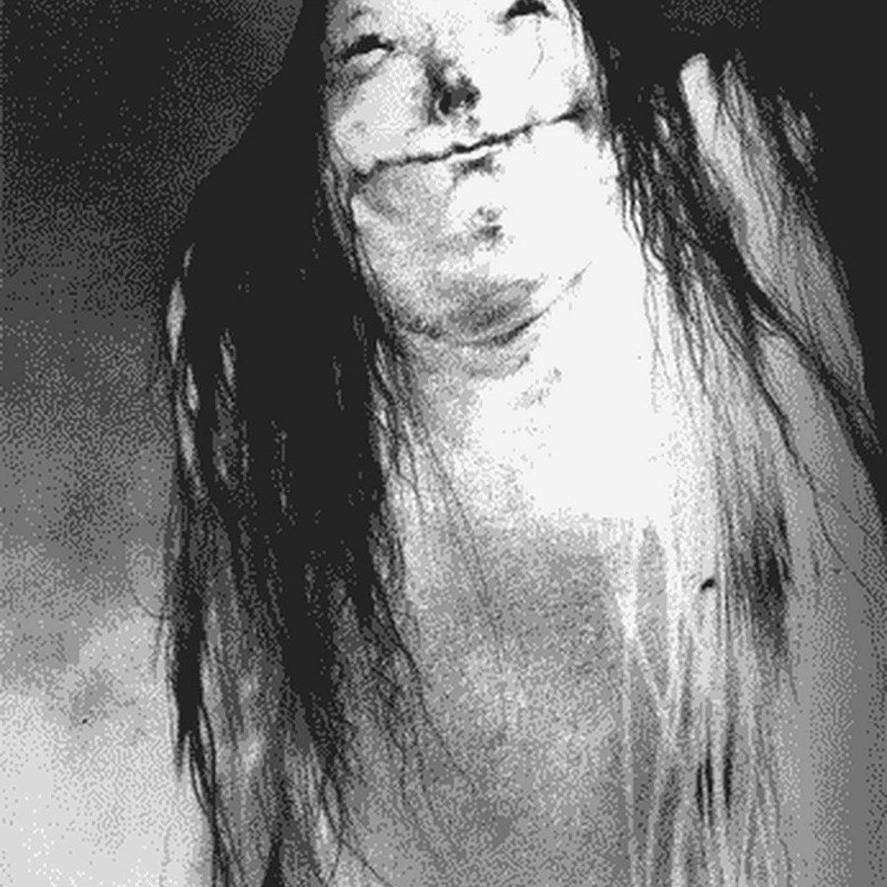 Create meme: Pale lady scary stories, Pale lady Trevor Henderson, pale lady