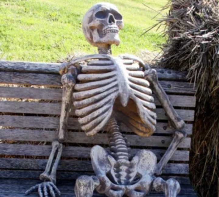 Create meme: the skeleton on the bench, skeleton in waiting, the skeleton on the bench