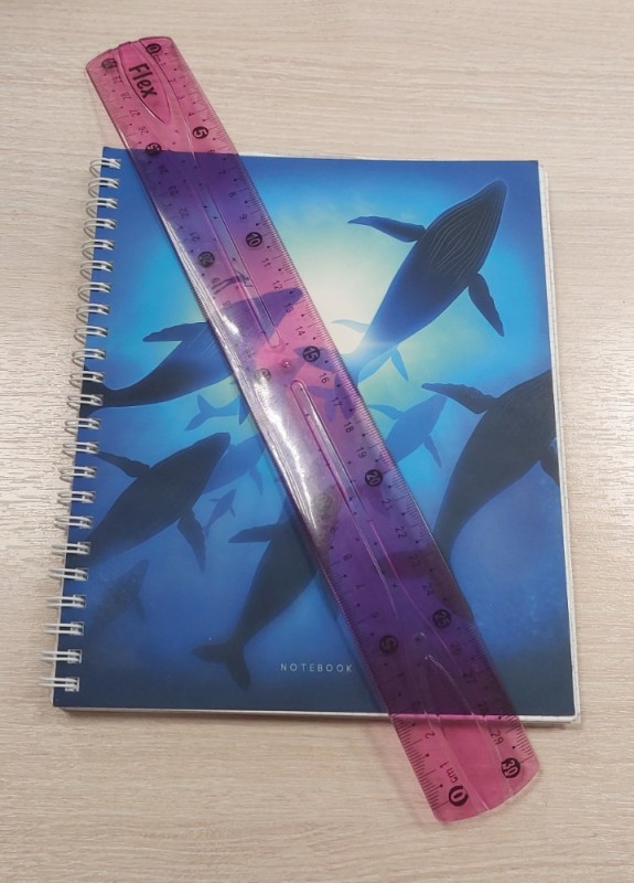 Create meme: underwater world , Notepad , the notebook is double-sided
