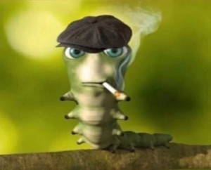 Create meme: insect, the smoking caterpillar, funny caterpillar