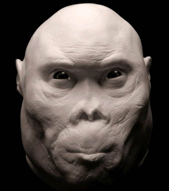 Create meme: homo rudolfensis, real faces of the ancestors, face 