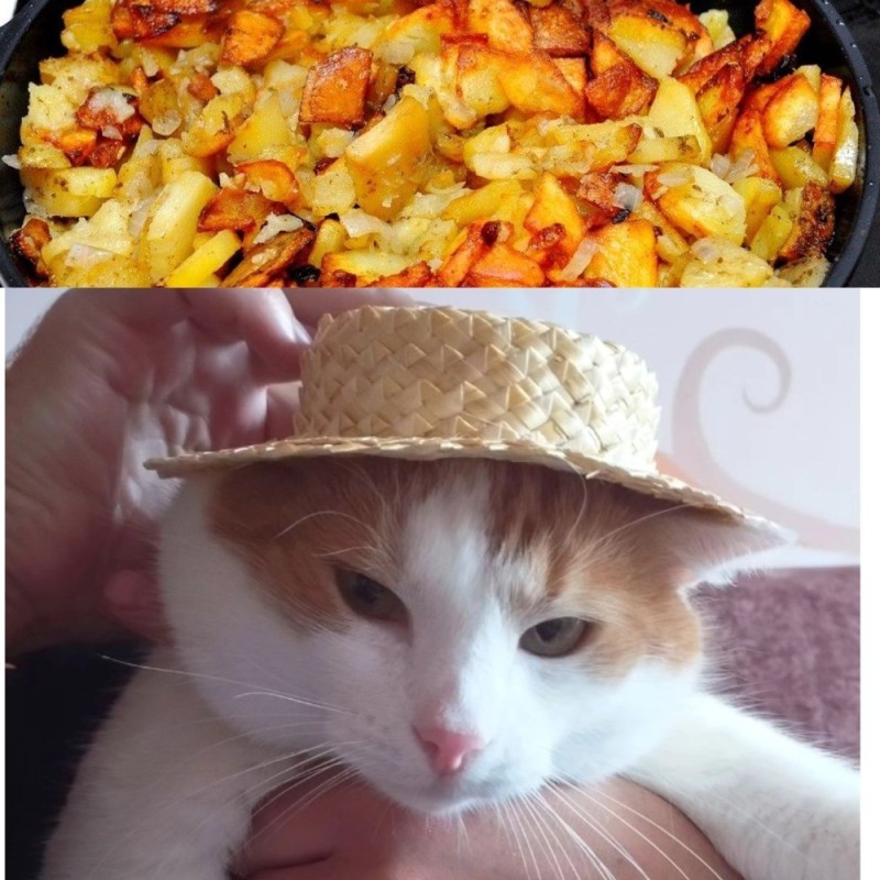 Create meme: cat eye , cat , potatoes with onions