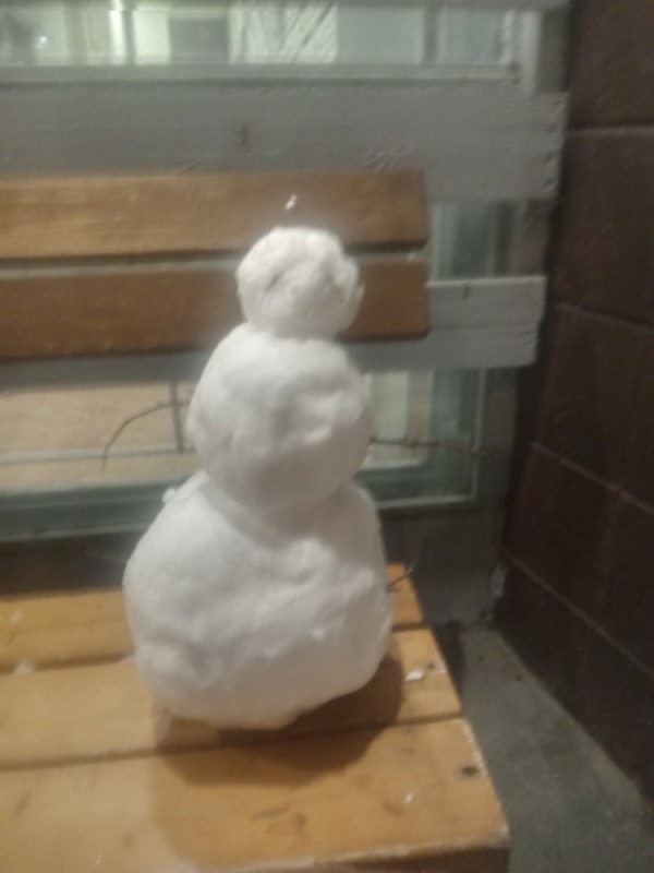 Create meme: snowman , snowman in the woods, figure