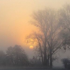 Create meme: the sun in the fog, the fog of dawn, The sun through the fog