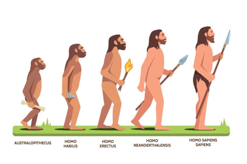 Создать мем: эволюция человека от обезьяны, эволюция человека женщины, эволюция человека рисунок