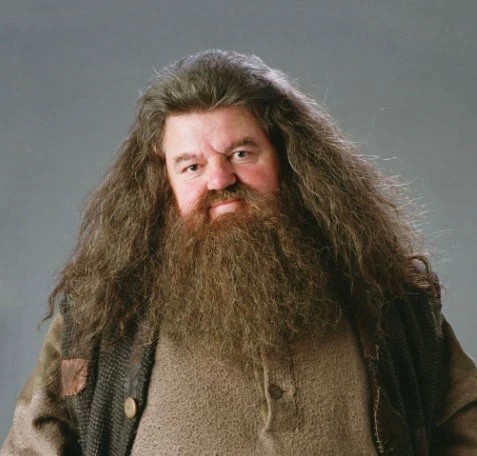 Create meme: Robbie Coltrane is Hagrid, hagrid the actor, Hagrid from Harry Potter