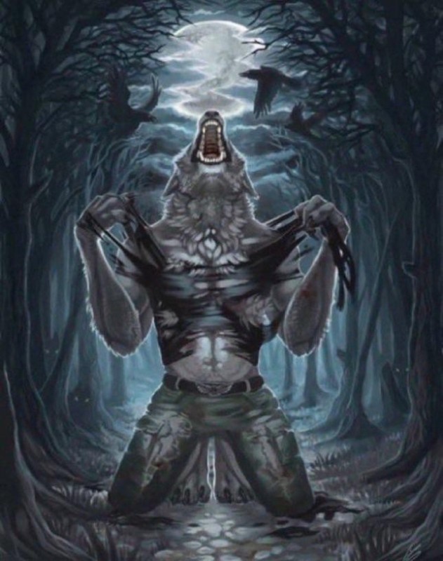 Create meme: werewolf fantasy, werewolf shaman, werewolf art