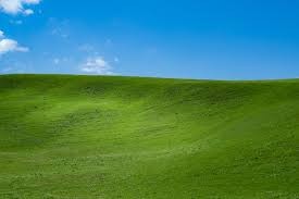 Create meme: windows backgrounds, windows xp background, microsoft windows xp