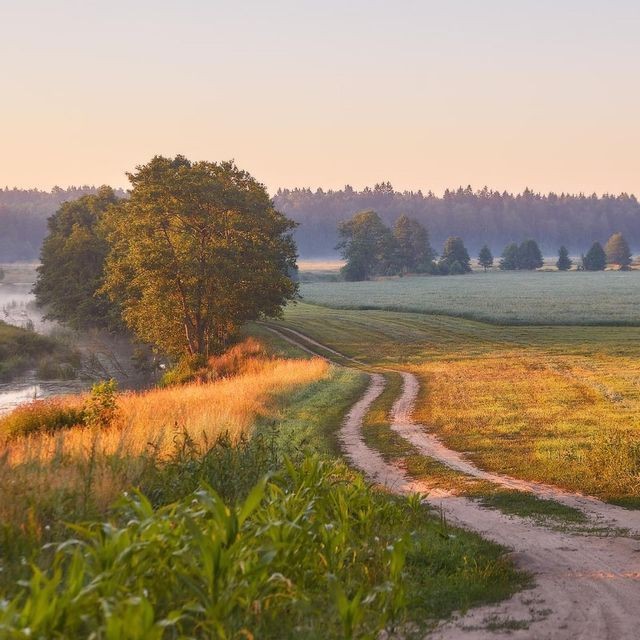 Create meme: rural country road, rural road, summer morning in the village