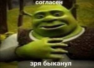 Create meme: memes, Shrek meme, Shrek