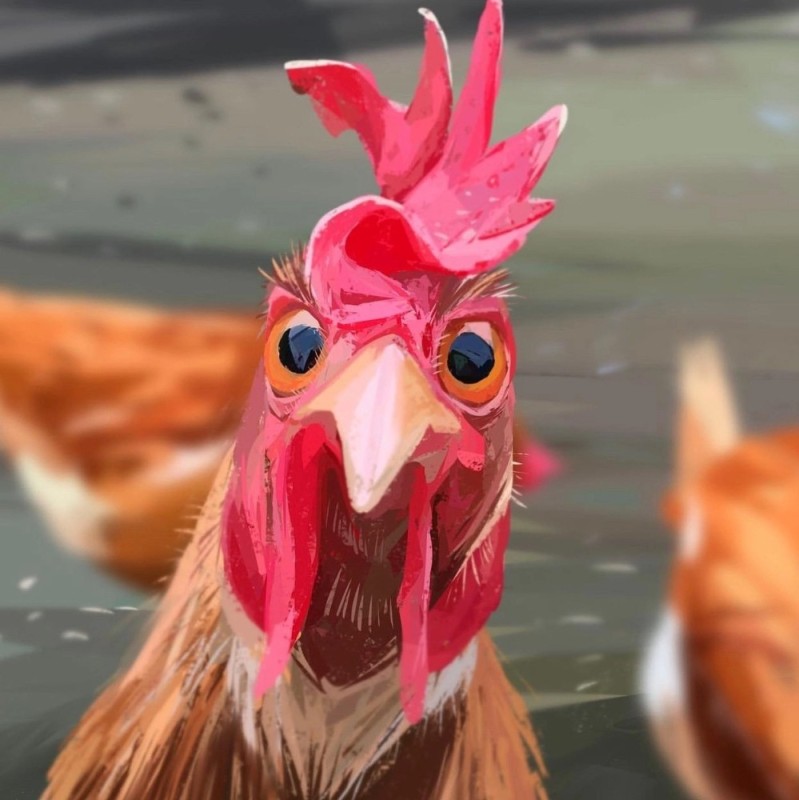 Create meme: petushara , rooster , chicken bird