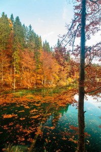 Создать мем: осень красивая, осень природа, озеро рица осенью