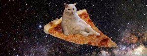 Create meme: cat on pizza in space, space cat, pizza in space