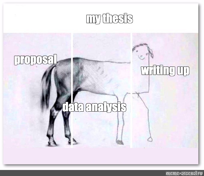 dissertation horse meme