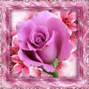 Create meme: cards, beautiful flowers, greeting cards