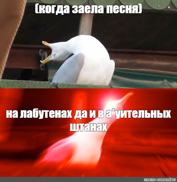 Я не жалею ни о чем. Ни о чем не жалей Мем. Я ни о чем не жалею кот. Ни очем не жалею кот. Я не жалею ни о чем картинки.