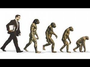 Create meme: the theory of evolution, human evolution