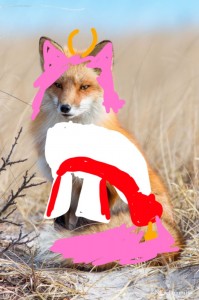 Создать мем: сибирская лиса, лисица, дикая лиса