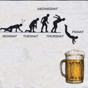 Create meme: evolution silhouette, the evolution of the vector, beer Friday humor