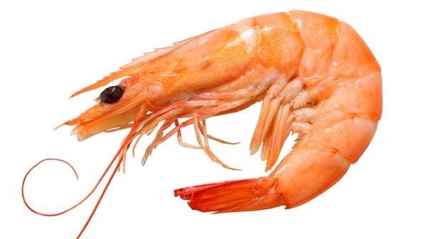 Create meme: shrimp alone, shrimp shrimp 30x50, rosenberg shrimp on a white background