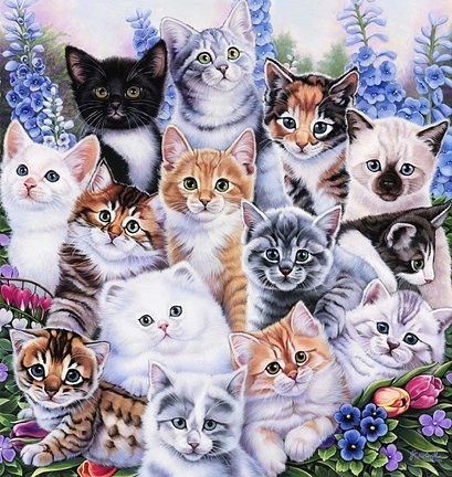 Create meme: cat , adorable kittens, animals cute