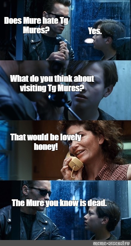 Meme Does Mure Hate Tg Mures Yes What Do You Think About Visiting Tg Mures That Would Be Lovely Honey The Mure You Know Is Dead All Templates Meme Arsenal Com