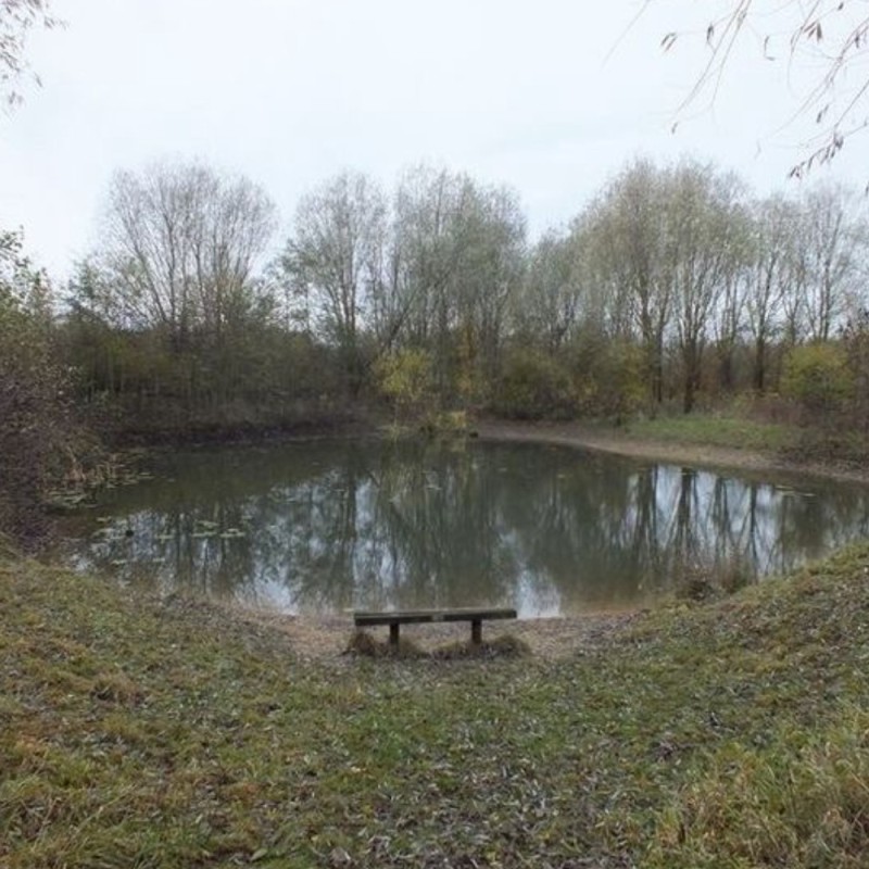 Create meme: pond , nature , big pond