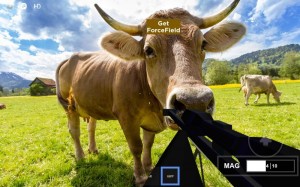 Create meme: animals, cattle, cow
