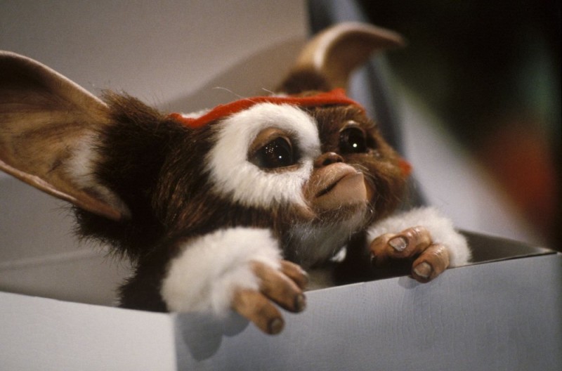 Create meme: Gremlin Gizmo, gremlins, maguai gizmo movie