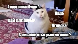 Создать мем: кот мяукает мем, мем кошка, кот из мема