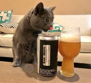 Create meme: funny cats, cat, cat with beer