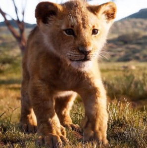 Create meme: cub, The Lion King, animal