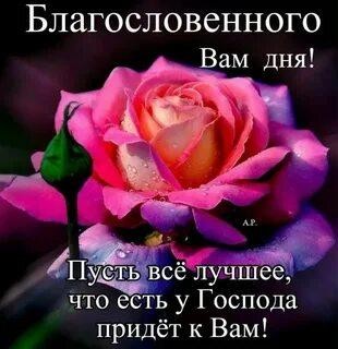 Create meme: happy blessed day, good morning, have a blessed day, roses with blessings