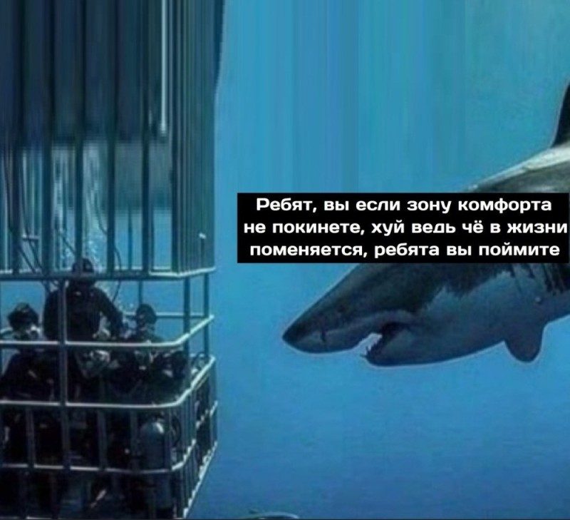 Create meme: shark comfort zone, get out of your comfort zone shark, Shark get out of the comfort zone