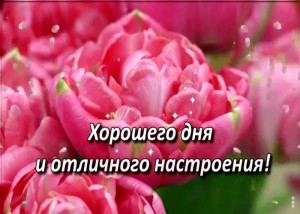 Создать мем: открытки хорошего дня и настроения, хорошего дня и отличного настроения, хорошего дня и настроения