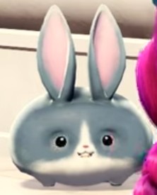 Create meme: Bunny