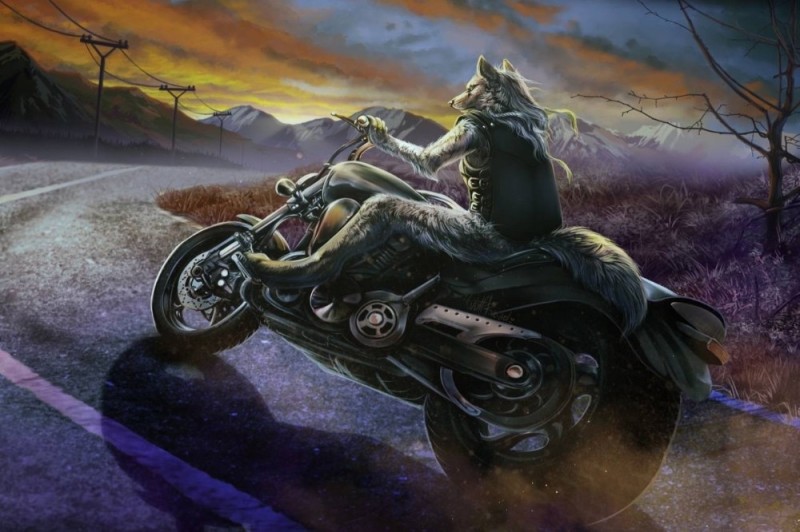 Create meme: the wolf on the bike, wolves on motorcycles, Wolf Biker and Little Red Riding Hood