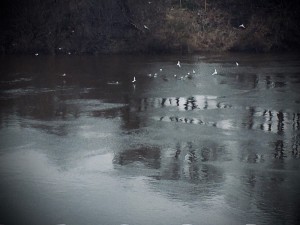 Создать мем: водоем, по реке, река