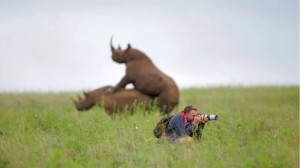 Create meme: photographer humor, animals photos, good shots of nature