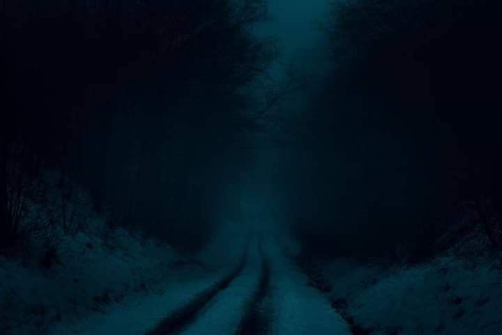 Создать мем: темный лес, мрачное место, dark road