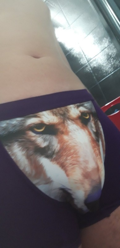 Create meme: wolf underpants, men's underpants with a wolf, panties with a wolf for women