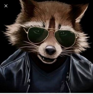 Create meme: raccoon, cool avatars evil raccoon art, cool pictures for kids avatar
