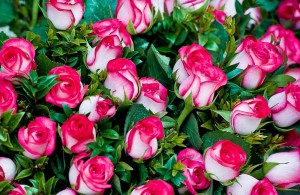 Create meme: a beautiful bouquet of roses, beautiful roses