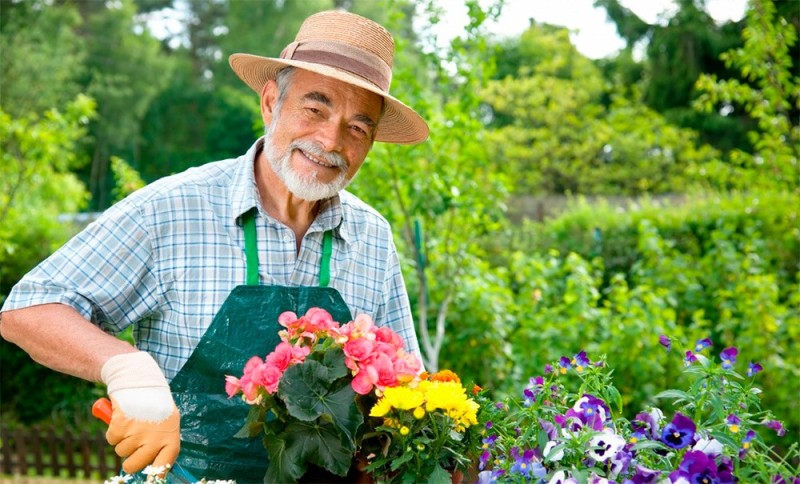 Create meme: the gardener, gardener profession, gardening