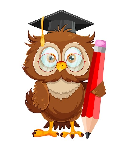 Create meme: wise owl, owl teacher drawing, owl school