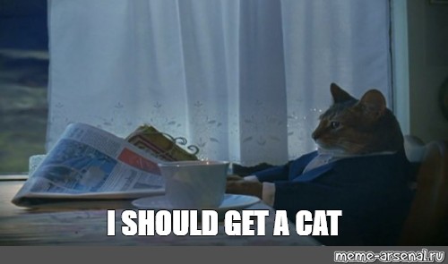 why i should get a cat presentation meme