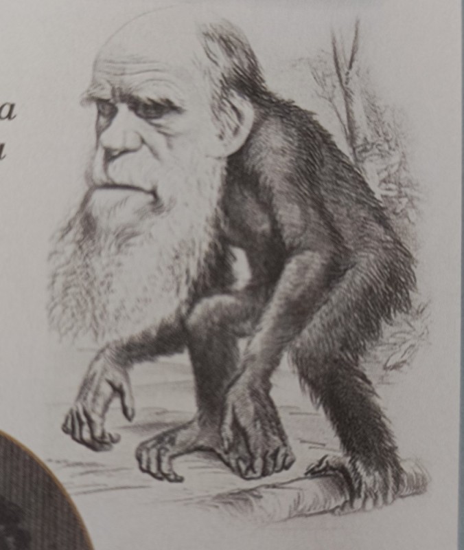 Create meme: Charles Darwin , charles darwin theory of evolution, Charles Darwin cartoons