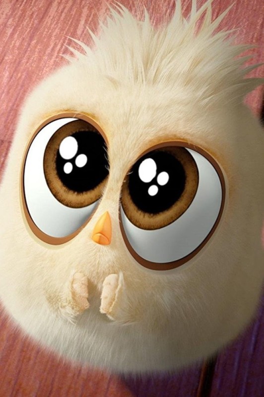 Create meme: angry fluffy, bird , angry birds