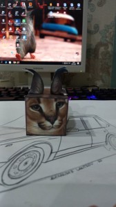 Create meme: cat, cat, Caracal