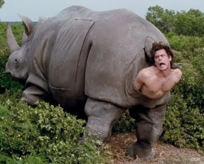 Create meme: Ace Ventura 2 of the Rhinoceros, Ace Ventura climbs out of the rhino, Ace Ventura of the rhinoceros